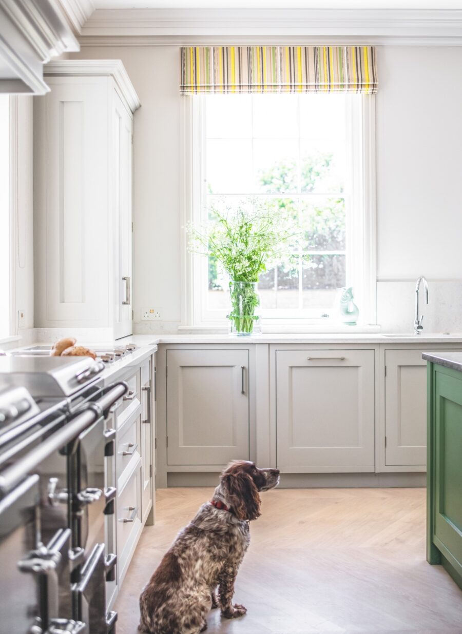 A spaniel dog sitting in a kitchen 